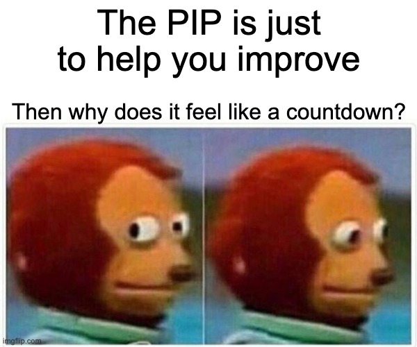 Performance improvement plan meme